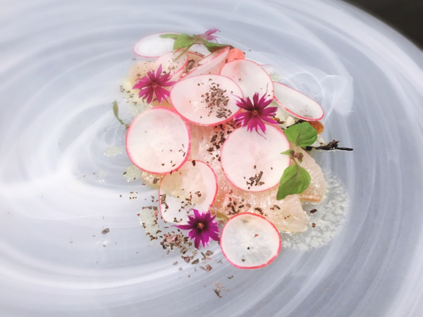 Modern Japanese Experience